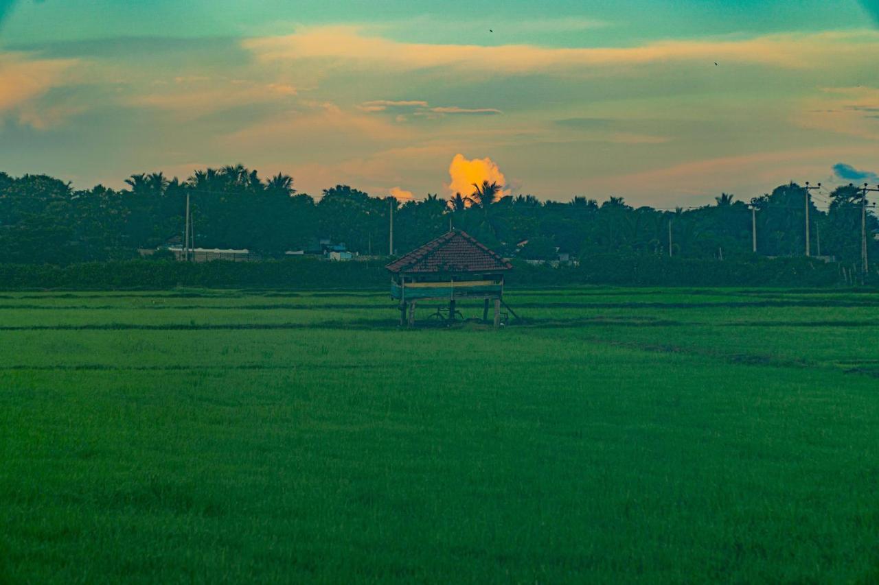 Surf & Yoga Arugam Bay Hotel ภายนอก รูปภาพ