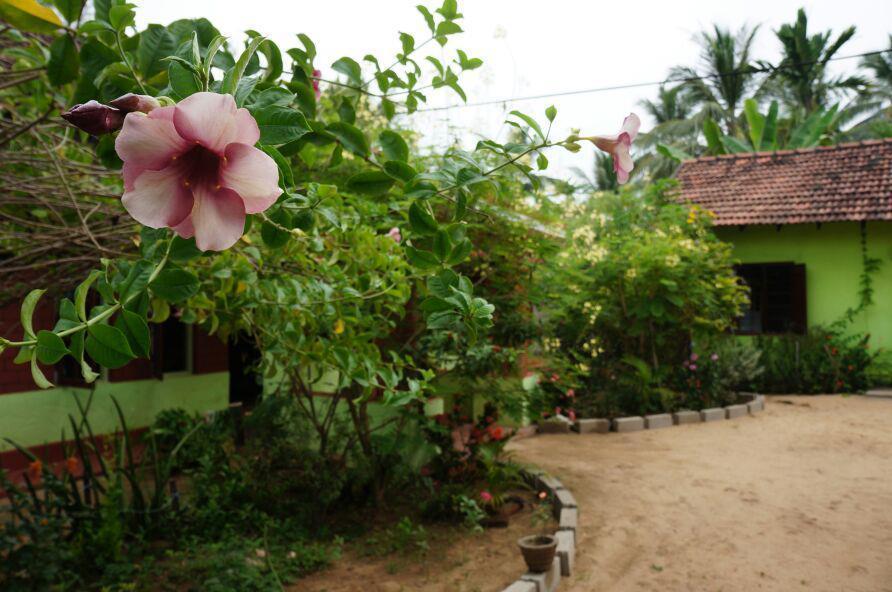 Surf & Yoga Arugam Bay Hotel ภายนอก รูปภาพ